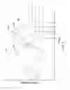 Fig. 06 - Feedback control of polishing using optical detection of clearance