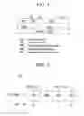 Fig. 02 - System and method for obtaining identity number of user equipment in an LTE system