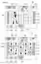Fig. 33 - Gaming machine producing effect when awarding benefit and control method thereof
