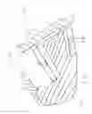 Fig. 07 - Iron golf club head with improved performance