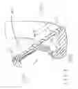 Fig. 09 - Iron golf club head with improved performance