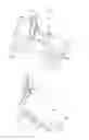 Fig. 02 - ABDOMINAL EXERCISE DEVICE WITH PLUNGER
