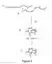 Fig. 04 - METHODS TO PRODUCE POLYMER NANOPARTICLES AND FORMULATIONS OF ACTIVE INGREDIENTS