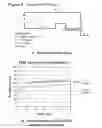 Fig. 09 - METHODS TO PRODUCE POLYMER NANOPARTICLES AND FORMULATIONS OF ACTIVE INGREDIENTS