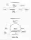 Fig. 02 - Precircle probe nucleic acid amplification methods