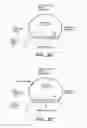 Fig. 07 - Precircle probe nucleic acid amplification methods