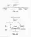Fig. 09 - Precircle probe nucleic acid amplification methods
