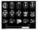 Fig. 01 - Genotyping tool for improving the prognostic and clinical management of MS patients