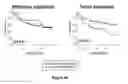 Fig. 06 - METHOD OF PREDICTING CHEMOTHERAPY EFFECTIVENESS IN COLON ADENOCARCINOMA PATIENTS, USING MIR-21
