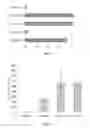 Fig. 08 - Cell-penetrating peptides