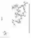 Fig. 35 - Solid materials of {[(2S, 5R,8S,11S)-5-benzyl-11-(3-guanidino-propyl)-8-isopropyl-7-methyl-3,6,9,12,15-pentaoxo-1,4,7,10,13-pentaaza-cyclopentadec-2-yl]-acid} and methods for obtaining them