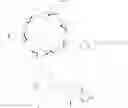 Fig. 244 - CYCLODEXTRIN-BASED POLYMERS FOR THERAPEUTIC DELIVERY