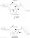 Fig. 247 - CYCLODEXTRIN-BASED POLYMERS FOR THERAPEUTIC DELIVERY