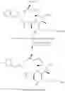 Fig. 252 - CYCLODEXTRIN-BASED POLYMERS FOR THERAPEUTIC DELIVERY