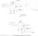 Fig. 261 - CYCLODEXTRIN-BASED POLYMERS FOR THERAPEUTIC DELIVERY