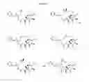Fig. 43 - CYCLODEXTRIN-BASED POLYMERS FOR THERAPEUTIC DELIVERY
