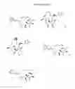 Fig. 45 - CYCLODEXTRIN-BASED POLYMERS FOR THERAPEUTIC DELIVERY