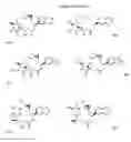 Fig. 50 - CYCLODEXTRIN-BASED POLYMERS FOR THERAPEUTIC DELIVERY