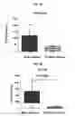 Fig. 05 - Bone Modulators And Methods Therewith