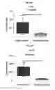 Fig. 07 - Bone Modulators And Methods Therewith