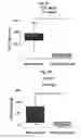 Fig. 08 - Bone Modulators And Methods Therewith