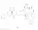 Fig. 02 - Sulfonylhydrazide compounds for treating proliferative disorders