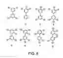 Fig. 06 - Methods for treating transthyretin amyloid diseases