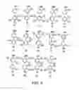 Fig. 07 - Methods for treating transthyretin amyloid diseases