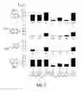 Fig. 08 - Methods for treating transthyretin amyloid diseases
