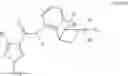 Fig. 16 - Process for the production of amides