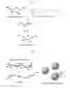 Fig. 02 - Polymeric nano-particles for siRNA delivery using charge interaction and covalent bonding