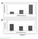 Fig. 03 - Antisense oligonucleotides for treating allergy and neoplastic cell proliferation
