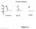 Fig. 07 - Antisense oligonucleotides for treating allergy and neoplastic cell proliferation