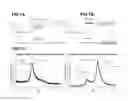 Fig. 12 - Compound modified by a phosphoramidate and/or phosphonamide group and use thereof