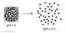 Fig. 02 - BIODEGRADABLE POLY(BETA-AMINO ESTERS) AND USES THEREOF