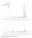 Fig. 07 - Cyclic amino acid molecules and methods of preparing the same