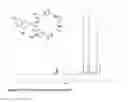 Fig. 29 - Cyclic amino acid molecules and methods of preparing the same