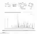 Fig. 30 - Cyclic amino acid molecules and methods of preparing the same