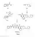Fig. 02 - Process for the preparation of ibodutant (MEN15596) and related intermediates