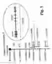 Fig. 02 - DENDRITIC CELL CO-STIMULATORY MOLECULES
