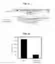 Fig. 07 - Isoindolinone derivatives, preparation method thereof and a pharmaceutical composition comprising same