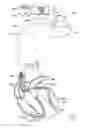 Fig. 02 - Method and system for quantitative measure of current of injury during lead fixation