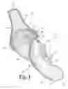 Fig. 06 - Hand held orthosis having a flexible enclosure and method of utilization