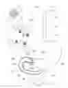 Fig. 01 - EXPANDABLE PYLORIC ANCHORS AND METHODS FOR SECURING INTESTINAL BYPASS SLEEVES