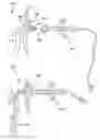 Fig. 01 - Indwelling luminal devices