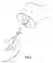 Fig. 04 - Disposable vial holder and method to prevent needle stick injuries