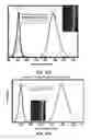 Fig. 32 - POLYIONIC TRANSITIONAL METAL PHOSPHORESCENT COMPLEX/POLYMER HYBRID SYSTEMS FOR BIOIMAGING AND SENSING APPLICATIONS