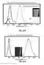 Fig. 33 - POLYIONIC TRANSITIONAL METAL PHOSPHORESCENT COMPLEX/POLYMER HYBRID SYSTEMS FOR BIOIMAGING AND SENSING APPLICATIONS