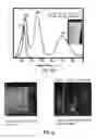 Fig. 35 - POLYIONIC TRANSITIONAL METAL PHOSPHORESCENT COMPLEX/POLYMER HYBRID SYSTEMS FOR BIOIMAGING AND SENSING APPLICATIONS