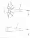 Fig. 06 - Electrosurgical device to generate a plasma stream